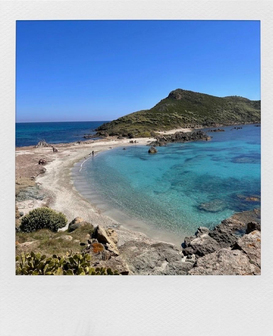 A wild cove on the Cap Taillat path — pines, rocks, turquoise water